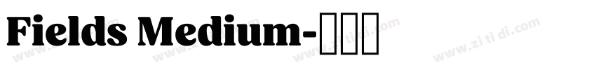 Fields Medium字体转换